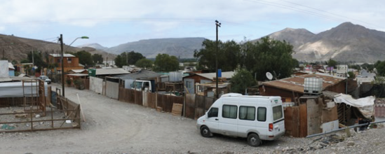 A homegrown neighbourhood, embracing both urban areas and part of the ravine next to it. 