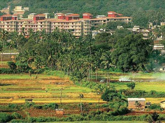 Figure 1 – Paddy fields in Tailegao, Goa (Source: https://static.toiimg.com/thumb/imgsize-23456,msid-55428270,width-600,resizemode-4/55428270.jpg)