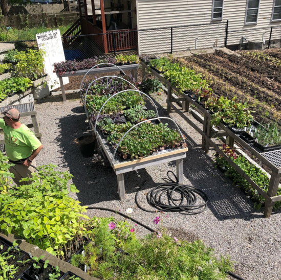 Figure 9: ReVision Urban Farm (Source: Sepa Youth's Facebook Page ( link ))