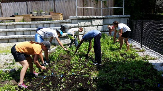 Figure 8: ReVision Urban Farm (Source: ReVision Urban Farm's Facebook Page ( link ))