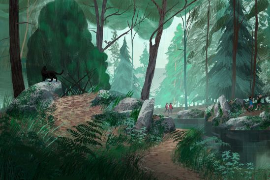 The forest, preserved and wild