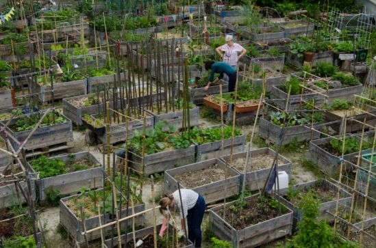 Wooden boxes put to good use
