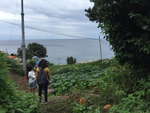 Trekking through farms of herbs that grow on the island.