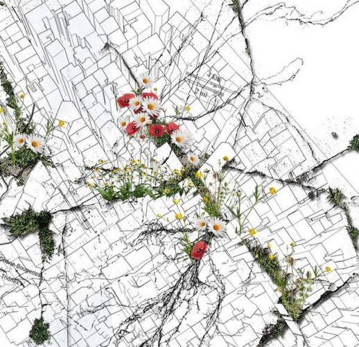 Connecting humans to themselves and the environment is the 21st century’s biggest challenge