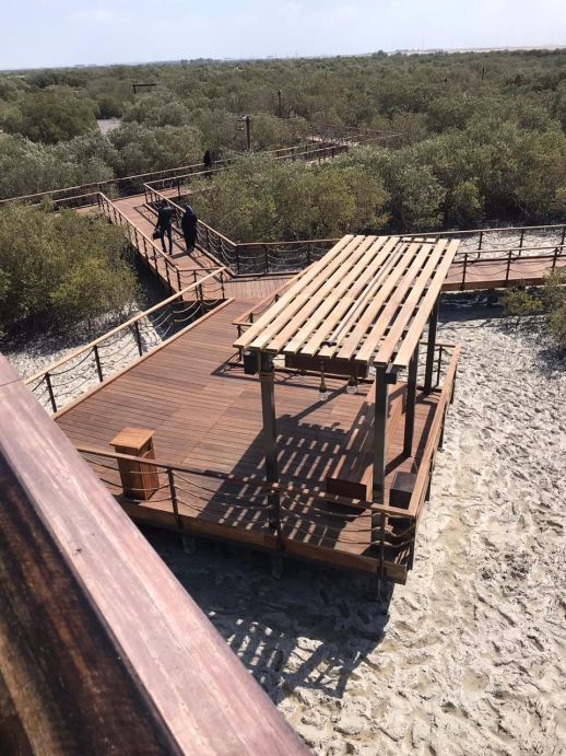 Abu-Dhabi Mangrove park