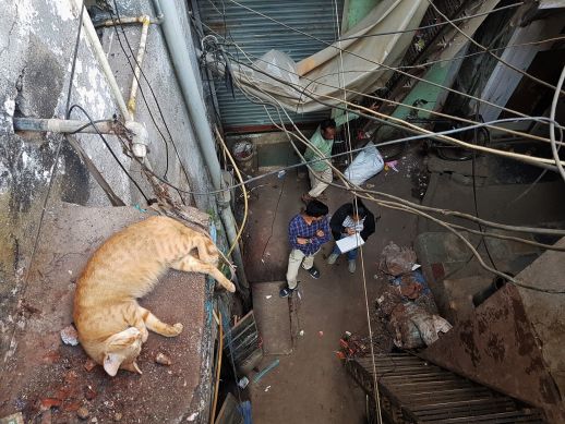 Documenting the street