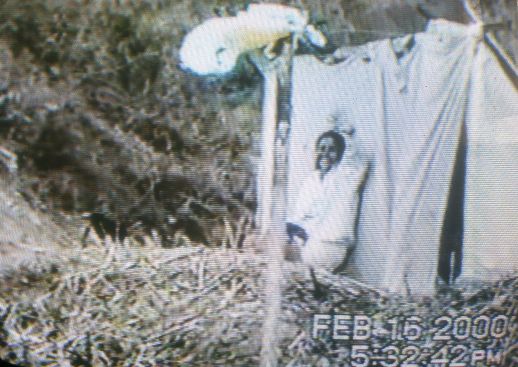 Screen grabs of footage from the "invasion" of the lands by the residents