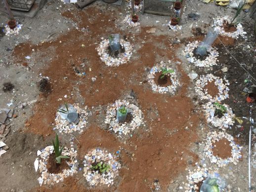 The land was cleaned and coverted into a small garden