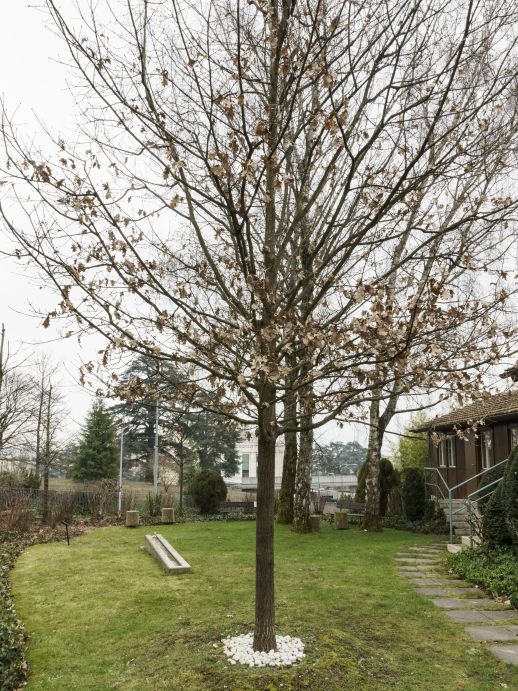 The ICRC headquarter in Geneva, photos by Giona Mottura